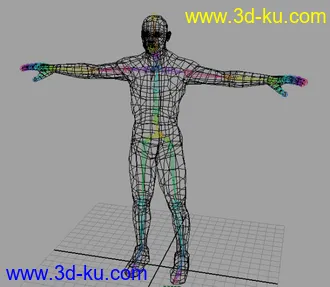 3D打印模型人物骨骼绑定 原文件 加 文件步骤的图片