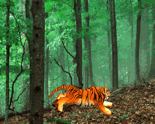 老虎奔跑，带贴图、骨骼绑定和动画，拜托下载完后回个帖！模型的图片1