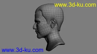 3D打印模型自己做的一个头部练习  望指正·的图片