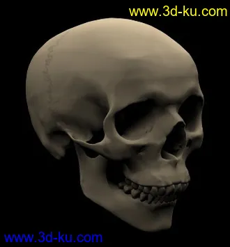 3D打印模型加勒比海盗的图片