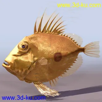 3D打印模型fish1的图片