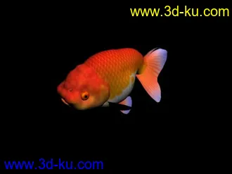 3D打印模型fish的图片
