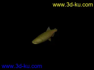 3D打印模型fish鱼的图片