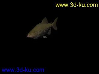 3D打印模型fish鱼的图片