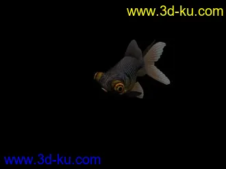 3D打印模型fish鱼的图片