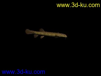 3D打印模型fish鱼的图片