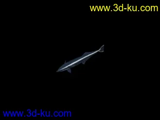 3D打印模型fish鱼的图片