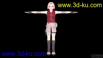 3D打印模型Naruto Character (Sakura)的图片