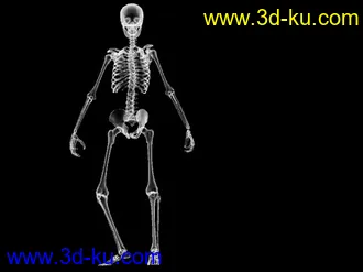 3D打印模型骷髅跳舞的图片