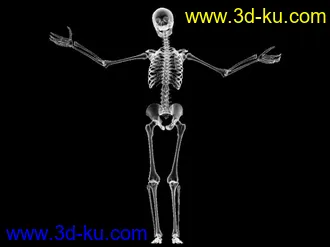 3D打印模型骷髅跳舞的图片