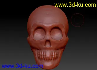3D打印模型人头骨的图片