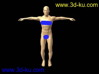 男人MAYA基础模型的图片