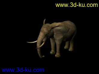 3D打印模型大象的图片