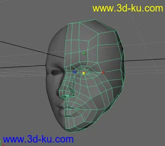 3D打印模型人头布线学习的图片