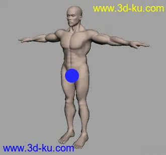 maya模型——body的图片