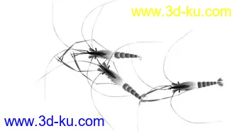 3D打印模型虾 水墨效果的图片