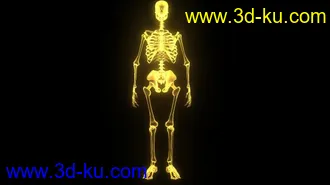 3D打印模型给大家分享一个骷髅的图片