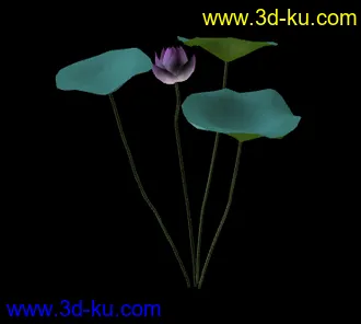 荷花的模型的图片