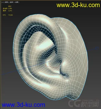 3D打印模型耳朵的图片