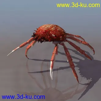 3D打印模型[海洋动物]_螃蟹一只的图片