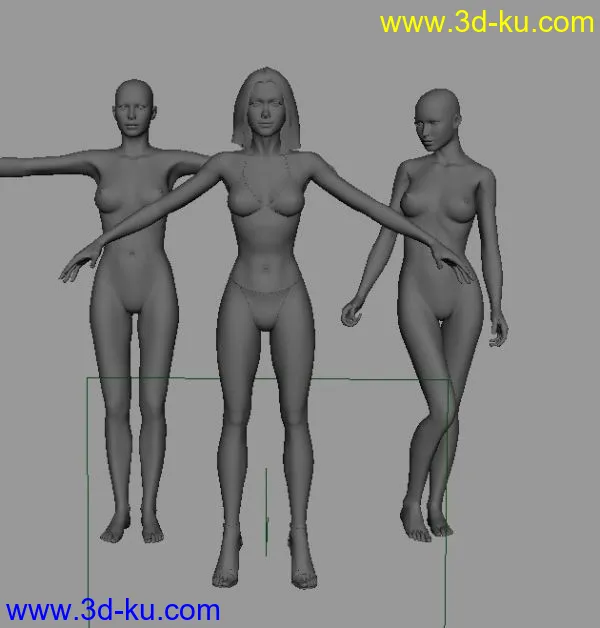 标准女人体模型的图片1