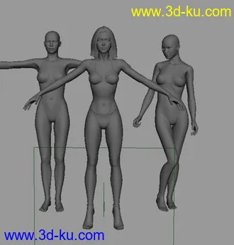 3D打印模型标准女人体的图片
