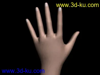 3D打印模型低模手的图片