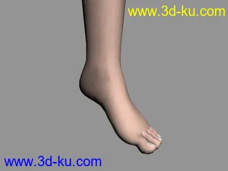 3D打印模型腿和脚的图片