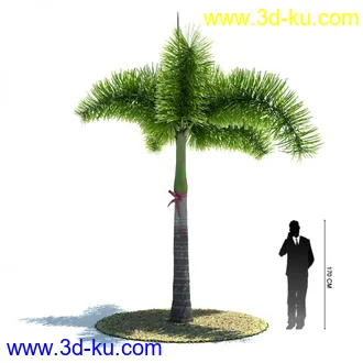 3D打印模型热带植物模vray）的图片