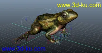 3D打印模型青蛙的图片
