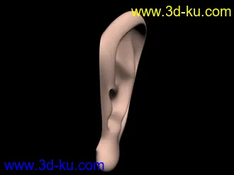 3D打印模型耳朵的图片
