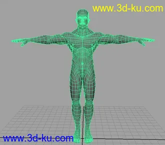 男人高模（强悍布线）——收藏的模型的图片