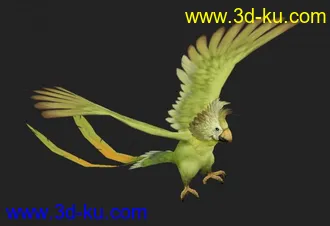 3D打印模型鹦鹉的图片