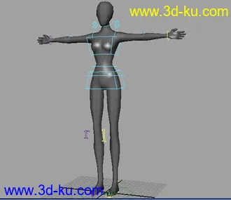 很不错的maya女人体模型  有骨骼的图片