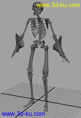 3D打印模型骷髅架子的图片