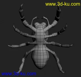 3D打印模型蜘蛛的图片