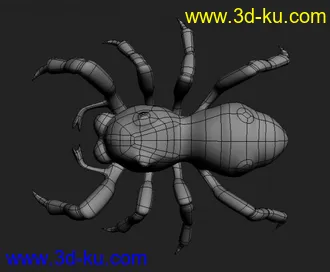 3D打印模型蜘蛛的图片