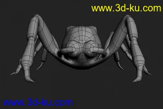 3D打印模型蜘蛛的图片