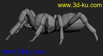 3D打印模型蜘蛛的图片