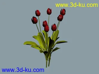 3D打印模型郁金香花的图片