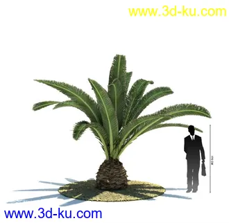 3D打印模型热带植物模vray）的图片
