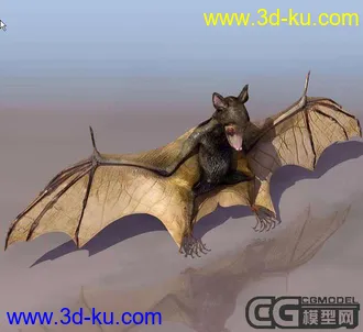 3D打印模型蝙蝠高模的图片