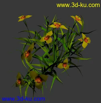 3D打印模型花  超级简模的图片