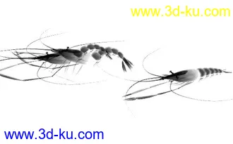 3D打印模型小虫子螃蟹加一个水墨虾的图片