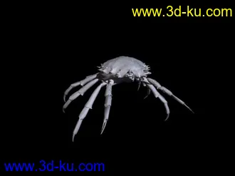 3D打印模型小虫子螃蟹加一个水墨虾的图片