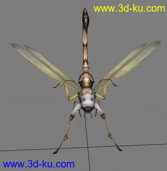 3D打印模型毒蜻蜓的图片