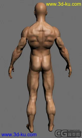 人物模型,带法线和贴图的图片