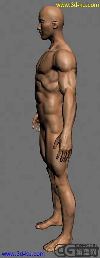 人物模型,带法线和贴图的图片