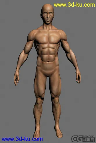 人物模型,带法线和贴图的图片