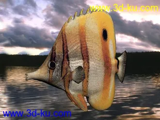 3D打印模型扁扁的海鱼的图片